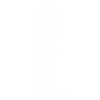 Soryūmon Dōjō - Karate-Dō ikon